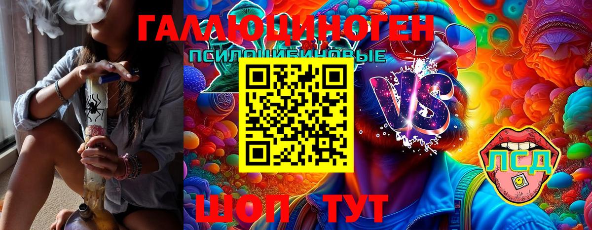 Буйнакск  Псилоцибиновые грибы Psilocybe  Вход с VPN  Псилоцибиновые грибы MAGIC MUSHROOMS 